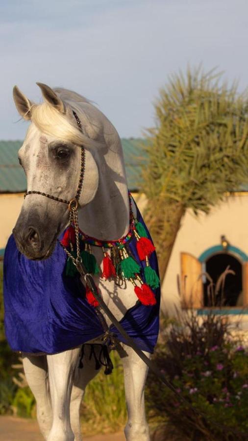 فندق كريستال بلو رابغ المظهر الخارجي الصورة